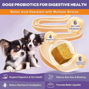 Nature Target Chicken flavor Probiotics for Dogs & Cats, 6 Billion CFUs, 180 Chews Pet Vitamins Supplements