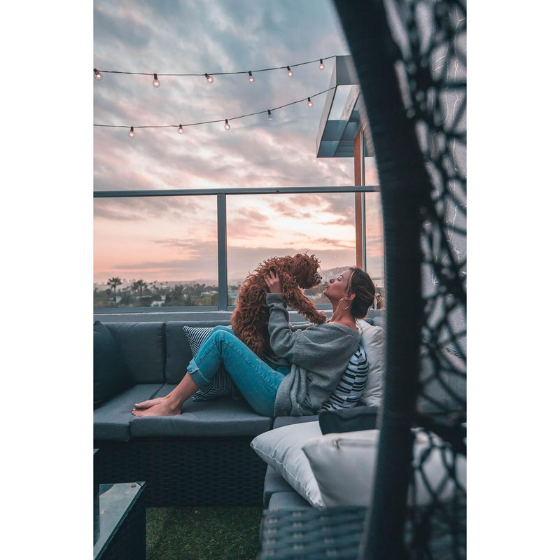 Silver Biotics Pet Vet Immune Support Pet Vet