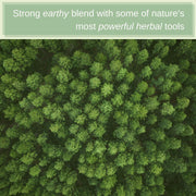 SpeedyVite® Blood LifeBoost® Tea | USDA Organic Herbal Cleansing Tea (4 oz / 8 oz / 28 Bags) | SpeedyVite® - FREE SHIPPING Tea