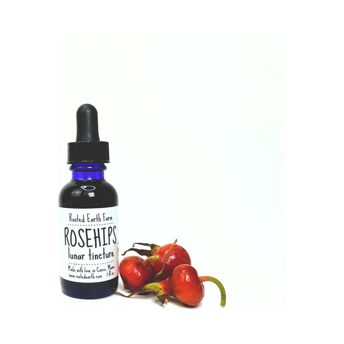 Rooted Earth Farm + Apothecary - Rose Hip Tincture 1oz - 2oz