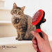 Warren London - Warren London - Cat De-Tangling Pin Brush for Grooming & Shedding