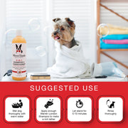 Warren London 2-in-1 Dog Shampoo + Conditioner - Coconut Scented Dog Shampoo