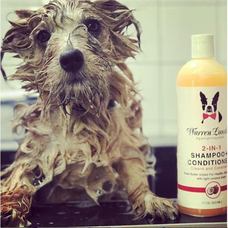 Warren London 2-in-1 Dog Shampoo + Conditioner - Coconut Scented Dog Shampoo