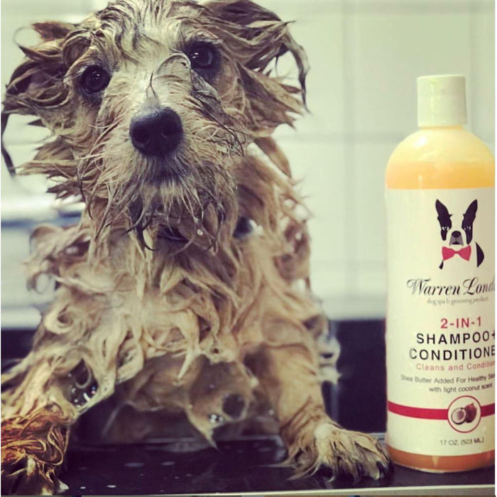 Warren London - Warren London - 2-in-1 Dog Shampoo + Conditioner - Coconut Scented