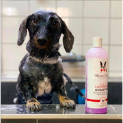 Warren London Calming Lavender Dog Shampoo w/Aloe Vera & Essential Oils - Professional Size Grooming Size Product
