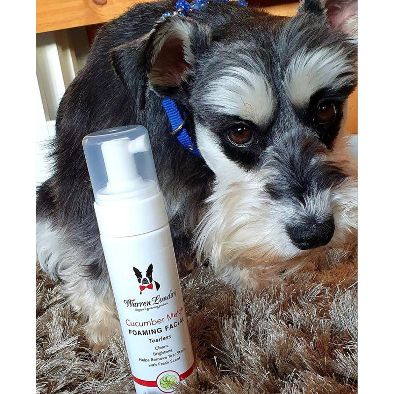 Warren London Cucumber Melon Foaming Facial - Professional Size - Refill Grooming Size Product