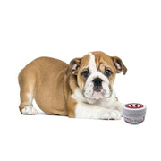 Warren London Hydrating Butter Balm - For Nose and Paws Spa Product