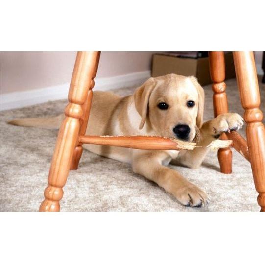 Warren London Dog Bitter Spray Anti-Chew - Anti-Lick Spa Product