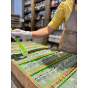 MION Artisan Soap Co. Garden Mint | Shea Butter Soap