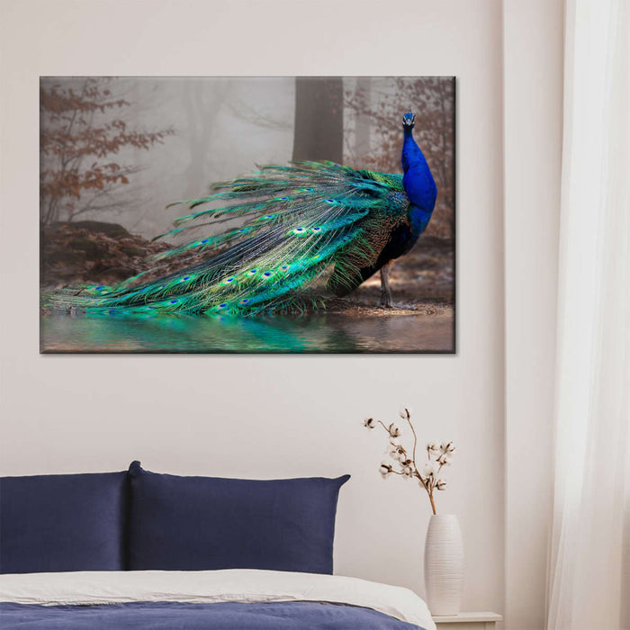 Elegant Blue Peacock Wall Art