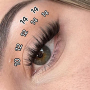 Pink Purée Starry Eyes DIY Lashes