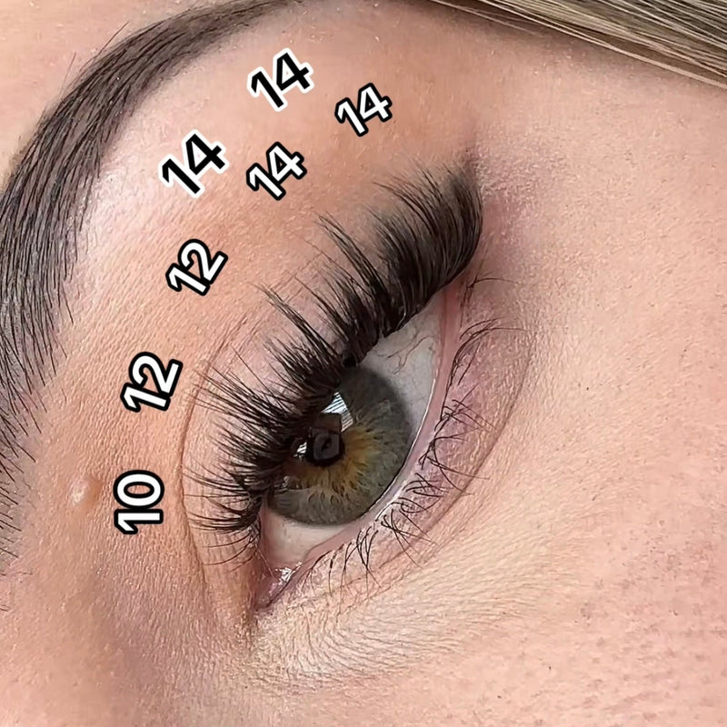 Pink Purée Starry Eyes DIY Lashes