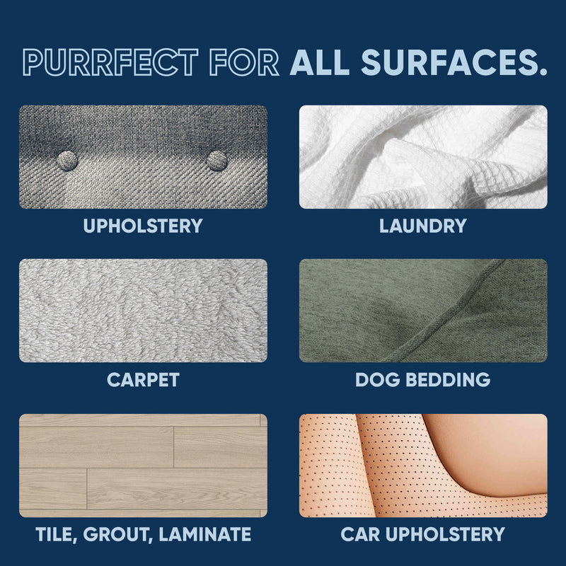 EcoStrong Cat Stain and Odor Eliminator Pet & Animal > Cat Stain & Odor