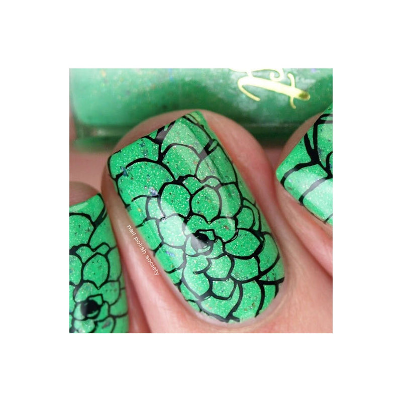 UberChic Beauty Succulents Stamping Plate