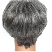 Mill's Beauty Supply Lumiere Hair Pixie Cut Short Straight Human Hair Wigs