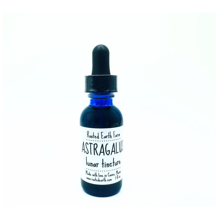 Astragalus Root Tincture