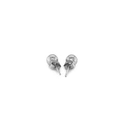 Bids.com 14k White Gold Classic Round Stud Earrings (5.0 mm) Earrings