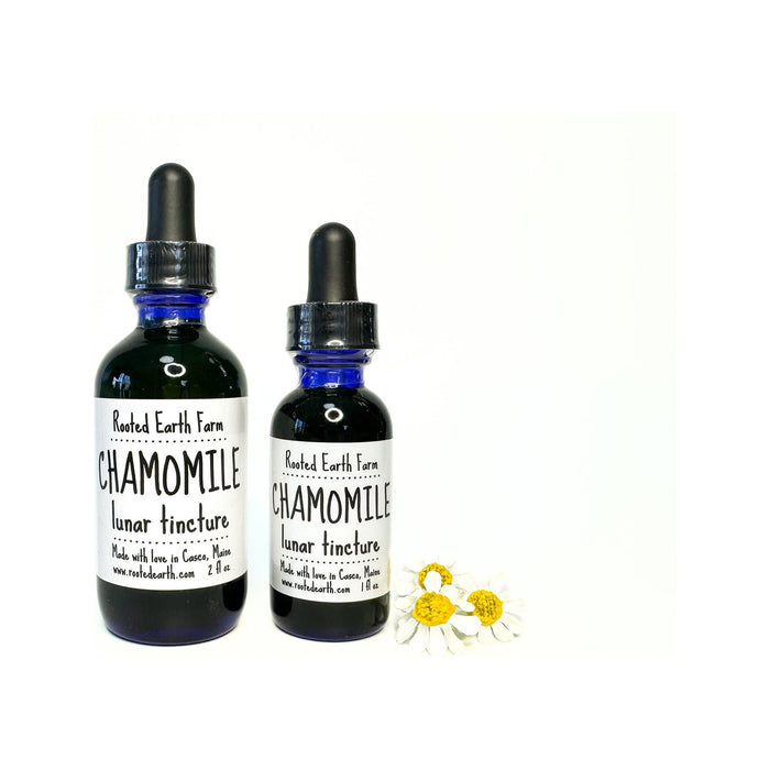 Chamomile Tincture