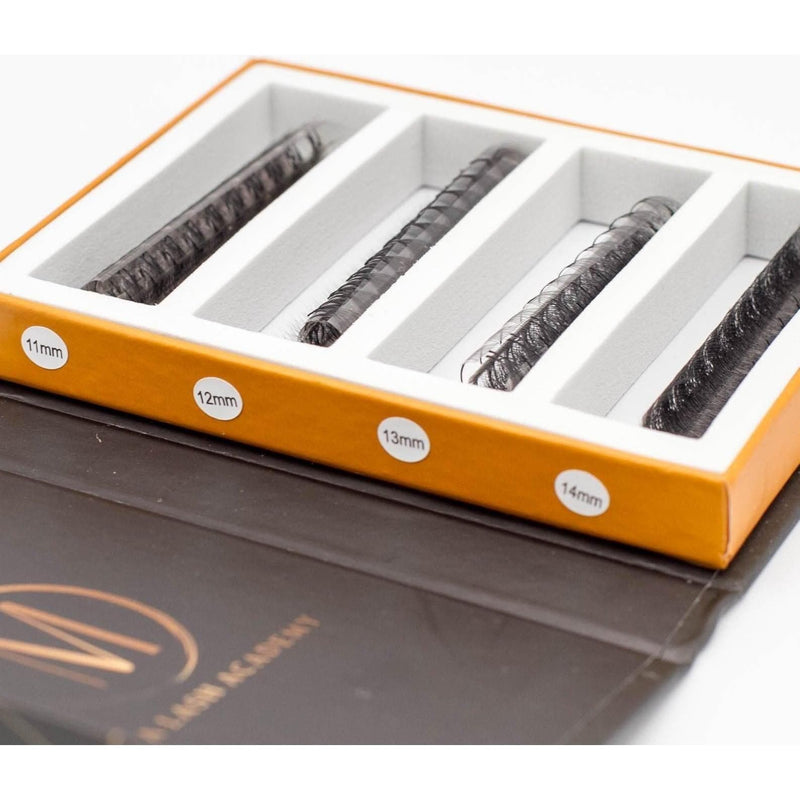 Mega Lash Academy 8D Mix Rapid Promade Fans® - 1000 Fans Promade Fans