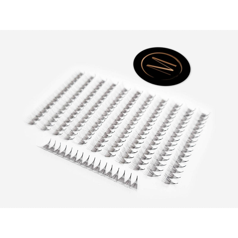 Mega Lash Academy 8D Rapid Promade Fans® - 1000 Fans Promade Fans