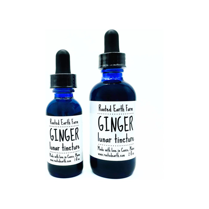 Ginger Tincture