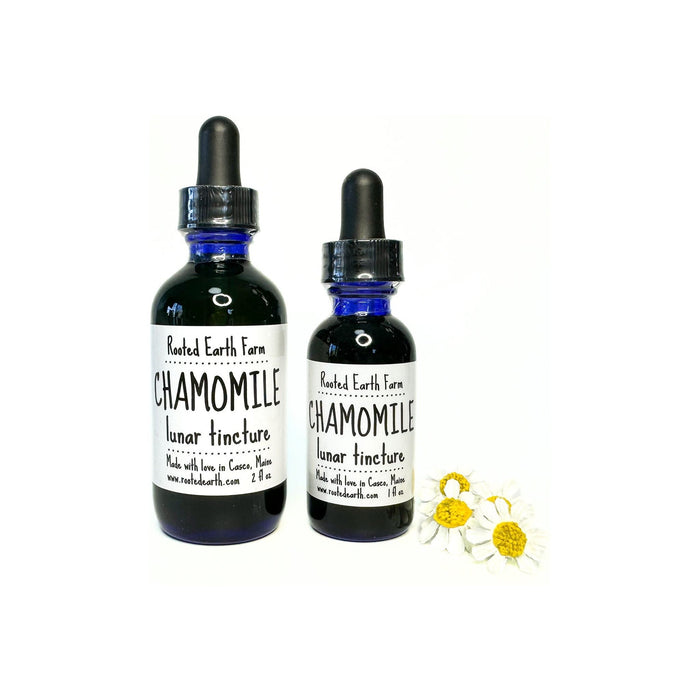 Chamomile Tincture