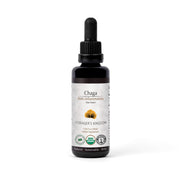 Forager's Kingdom Chaga Extract Mushroom Extract