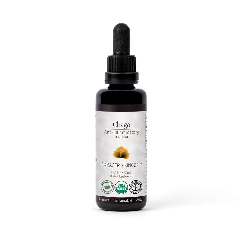 Forager's Kingdom Chaga Extract Mushroom Extract