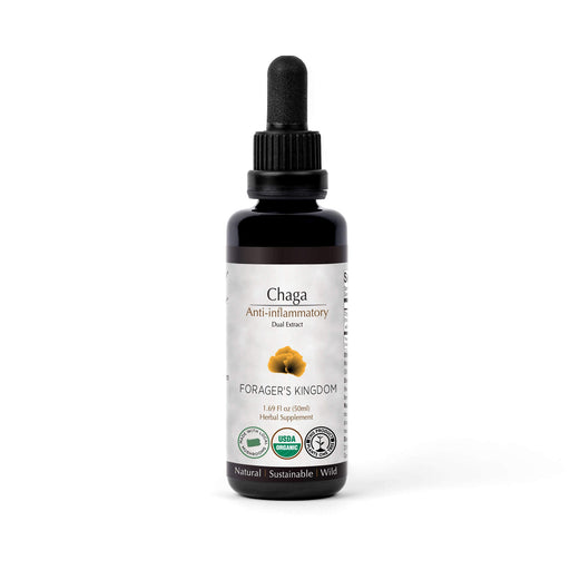 Forager's Kingdom Chaga Extract Mushroom Extract