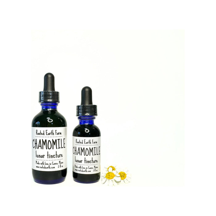 Chamomile Tincture