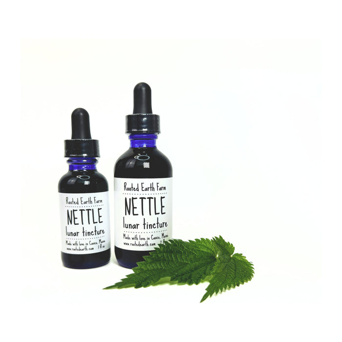 Rooted Earth Farm + Apothecary - Nettle Tincture 1oz - 2oz