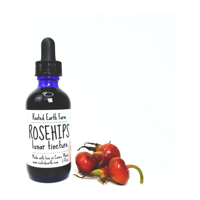 Rooted Earth Farm + Apothecary - Rose Hip Tincture 1oz - 2oz