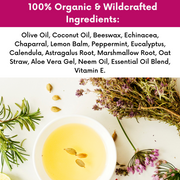 COLEHERBALS 16 - Dr. Cole's Organic Skin Repair Herbal Balm Herbal