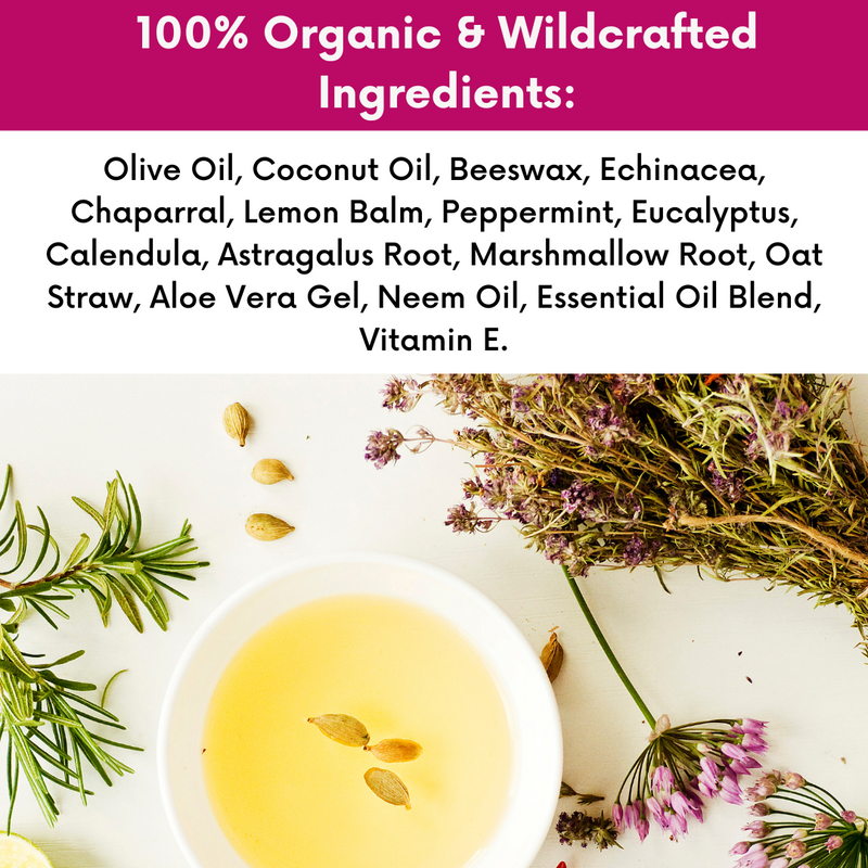 COLEHERBALS 16 - Dr. Cole's Organic Skin Repair Herbal Balm Herbal