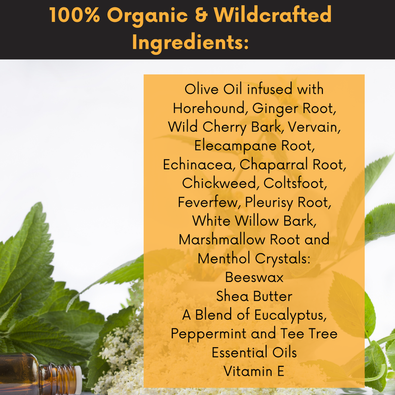 COLEHERBALS 27 - Dr. Cole's Cough Cold Congestion Stick Herbal