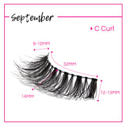 GladGirl GladGirl False Lash Kit - September Eyelashes