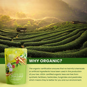 Gardenika Shop Ginseng Green Loose Tea, Medium-Caffeine /w Lemon Myrtle - Refreshing Coffee Alternative - Organic & Kosher Loose Leaf Tea