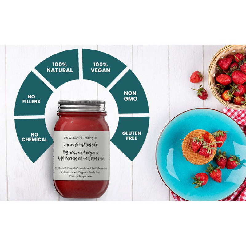 MG Windward Trading LLC Organic Fruit Infused BEST SELLER Sea Moss Gel Bundle Fruit Infused Sea Moss Gel