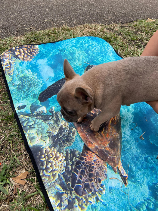 Dog Travel Mat- Perfect for dogs that love adventure!