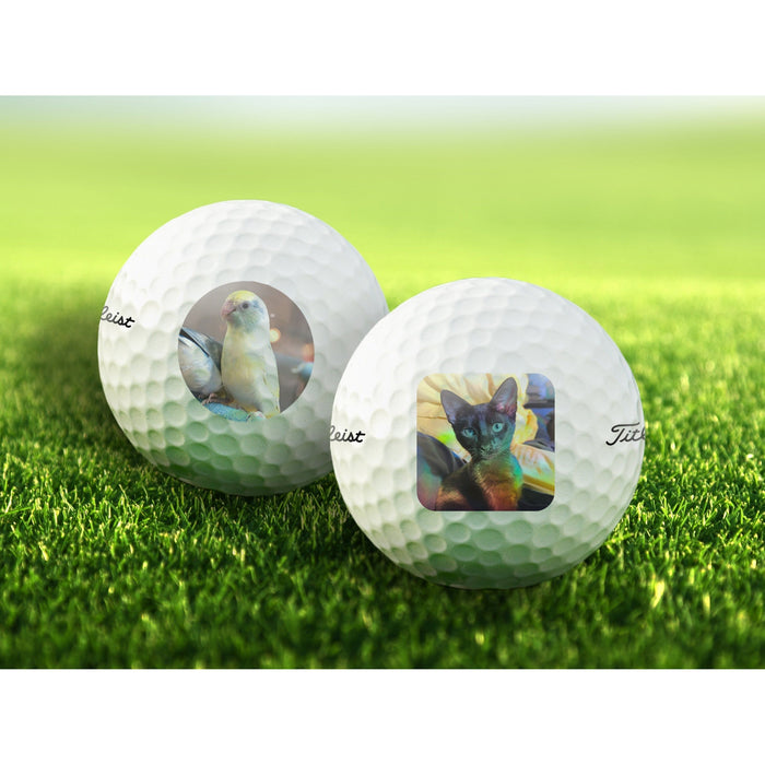 Add Your Pet Photo Golf Balls