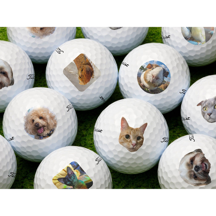 Add Your Pet Photo Golf Balls