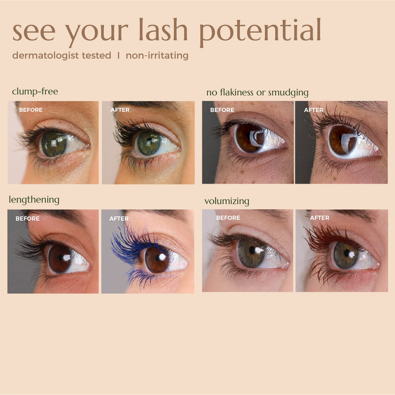 Chella lash curl kit Kit