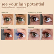 Chella deluxe lash curl kit Kit Bisque
