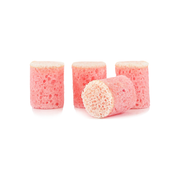 Spongellé Burnt Sugar | Confection Buffer Bits Pedi Buffer