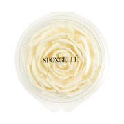 Spongellé Floret Replacement Home Fragrance