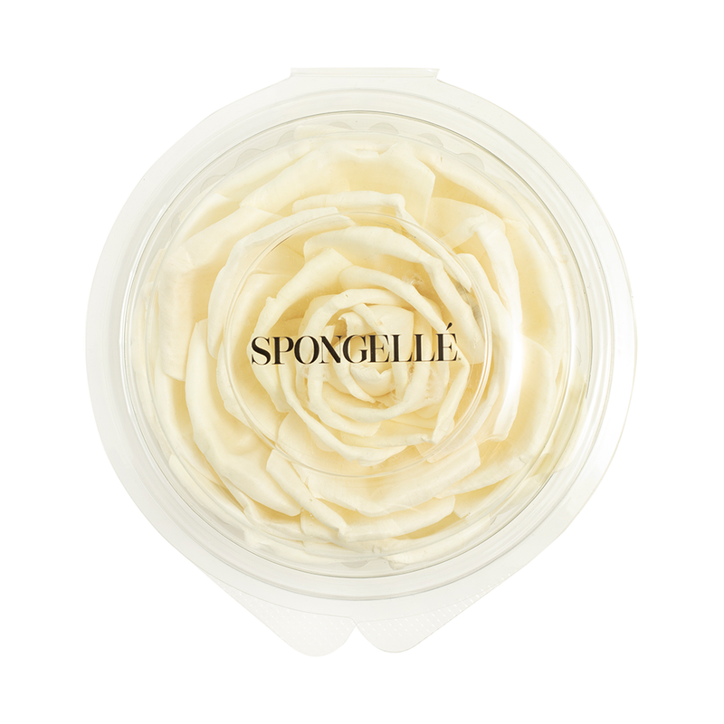 Spongellé Floret Replacement Home Fragrance
