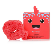 Spongellé Fiona Fish | Sea Animals Body Wash Infused Buffer