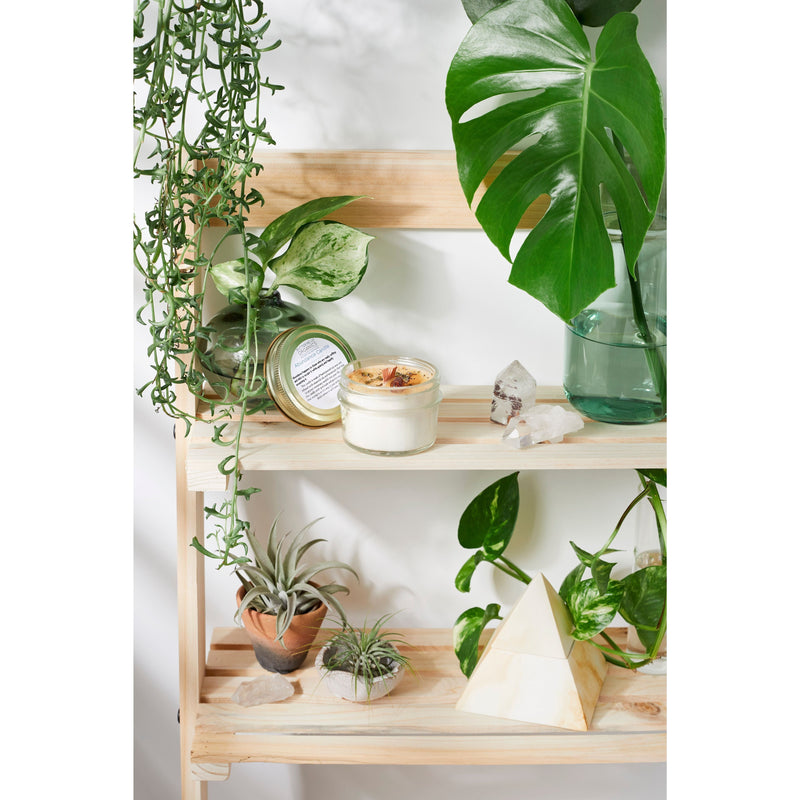 Butter Me Up Organics Abundance Candle / Ritual Candle / Intention Candle / Hand Poured Candle / Soy Wax Candle/ Butter Me Up Organics / Good Luck Candle / Money Metaphysical