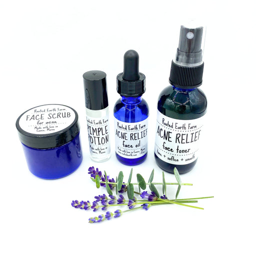 Rooted Earth Farm + Apothecary Acne Relief Kit skin care gift set