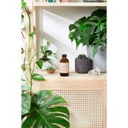 Butter Me Up Organics Natural Aged After Shave / Cologne Organic Bay Woodsy / Men’s Natural Organic After Shave Face